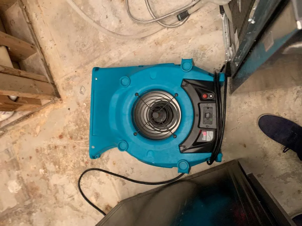 Air mover drying equipment for Mold Remediation & Removal in Kilgore